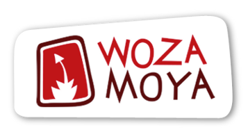 Building Futures: Woza Moya